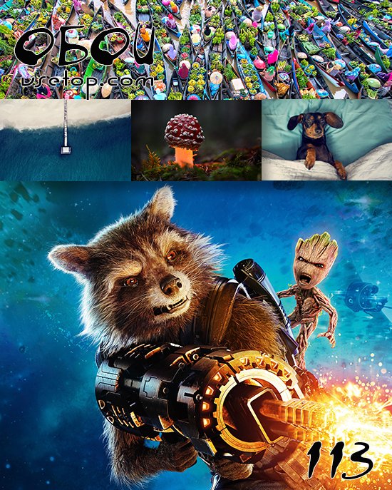 Обои vsetop часть 113